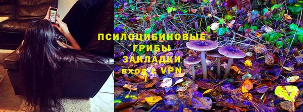 ALPHA PVP Беломорск