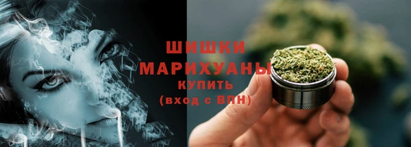 гашик Белоозёрский