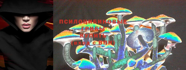 ALPHA PVP Беломорск