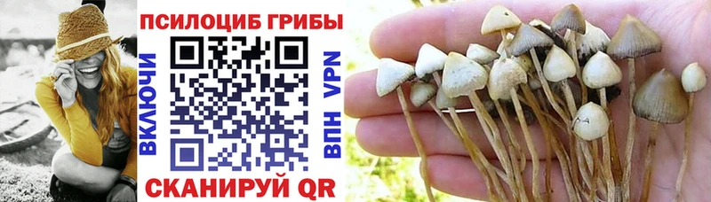 ОМГ ОМГ как зайти Кушва darknet Telegram цены наркотик Галлюциногенные грибы Magic Shrooms