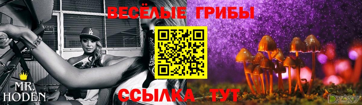 Псилоцибиновые грибы Cubensis Кушва